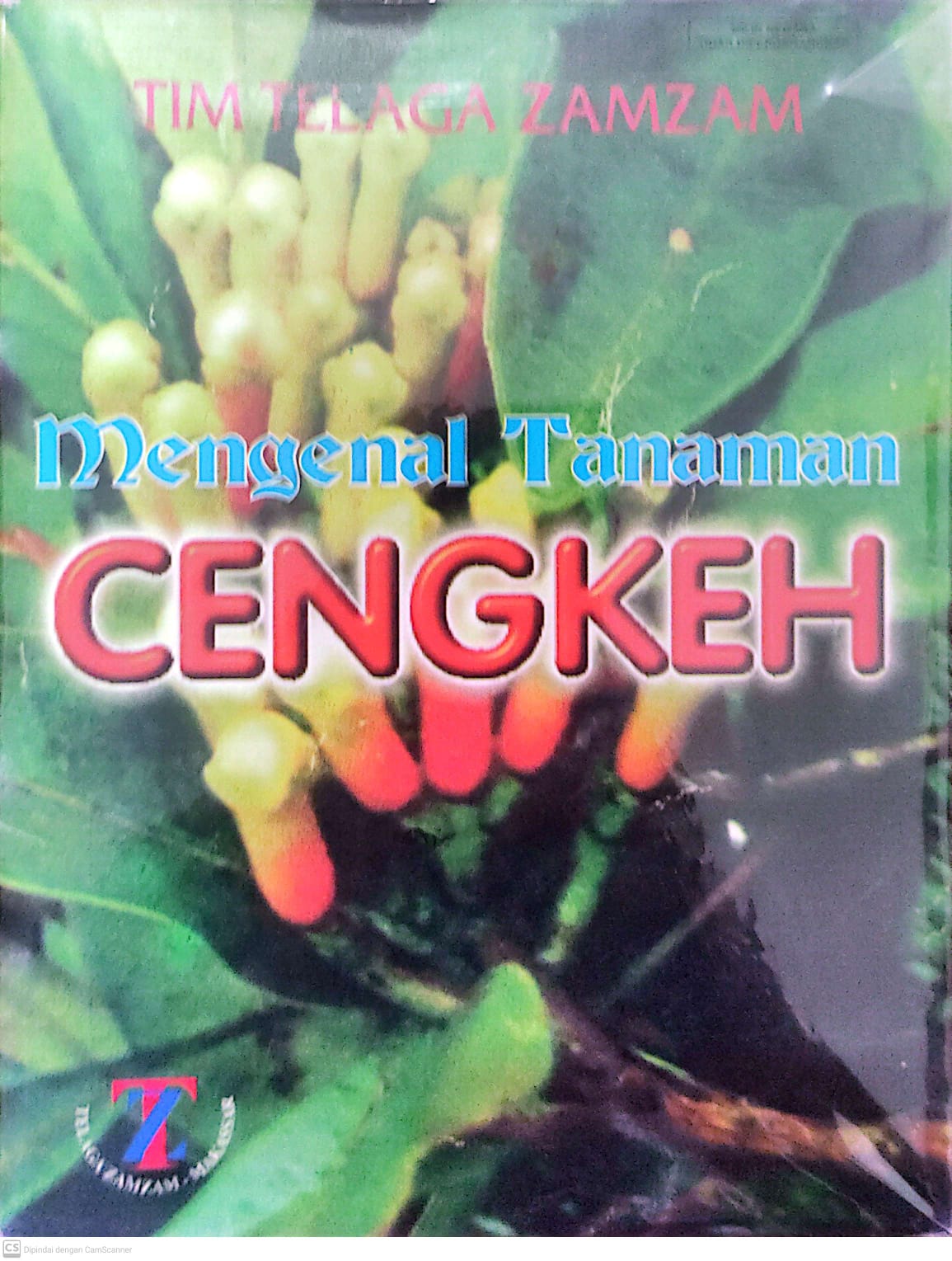 Mengenal Tanaman Cengkeh