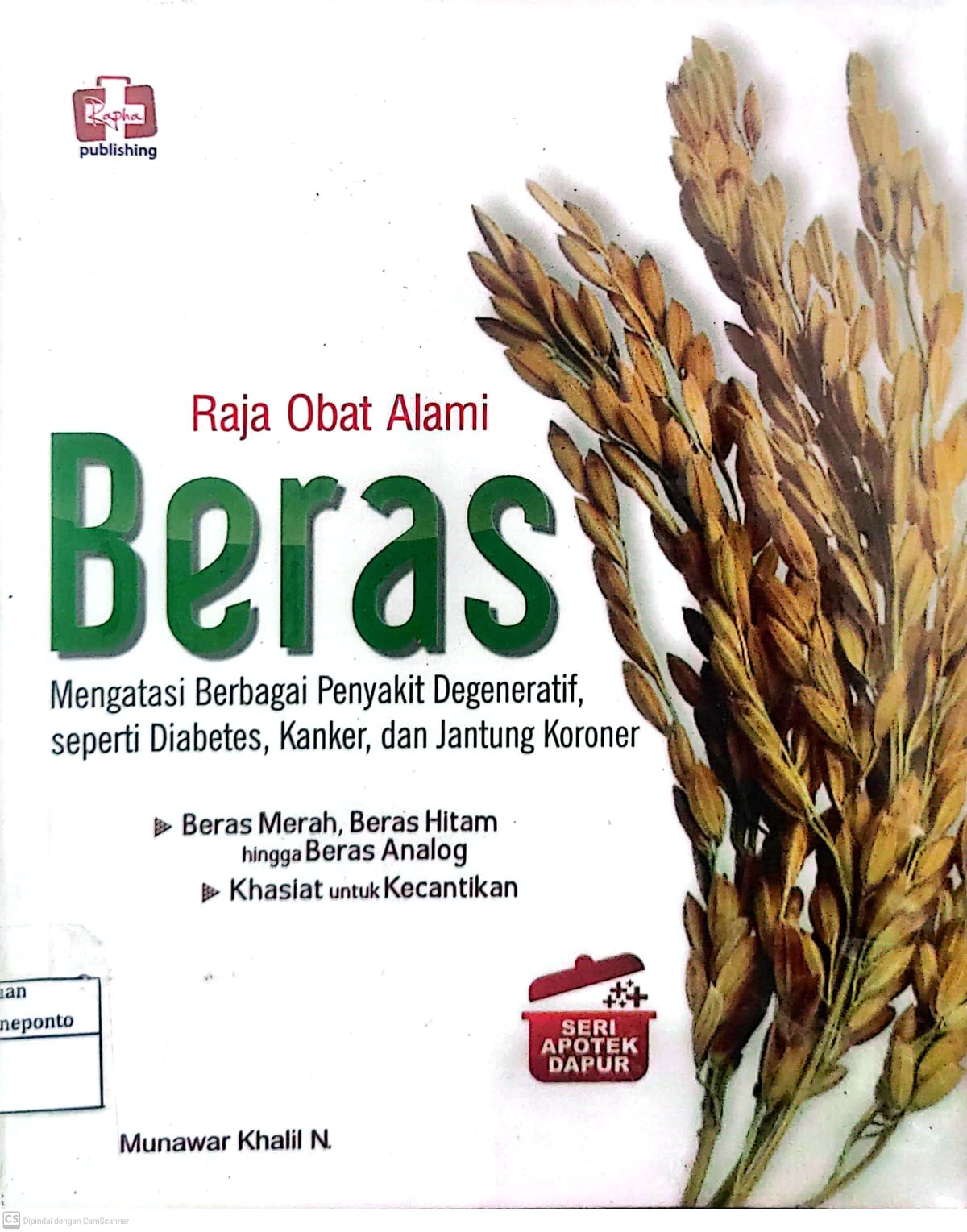 Raja Obat Alami Beras
