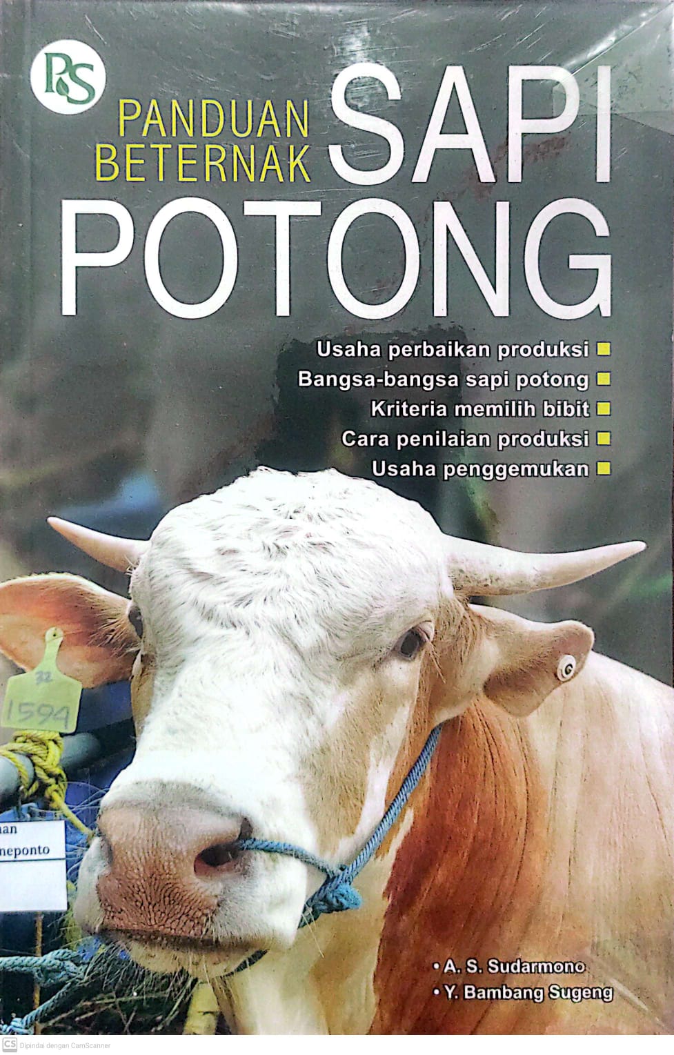 Panduan Beternak Sapi Potong