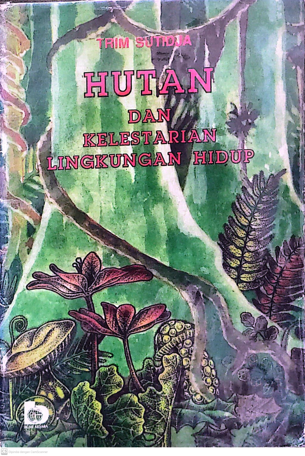 Hutan Dan Kelestarian Lingkungan Hidup
